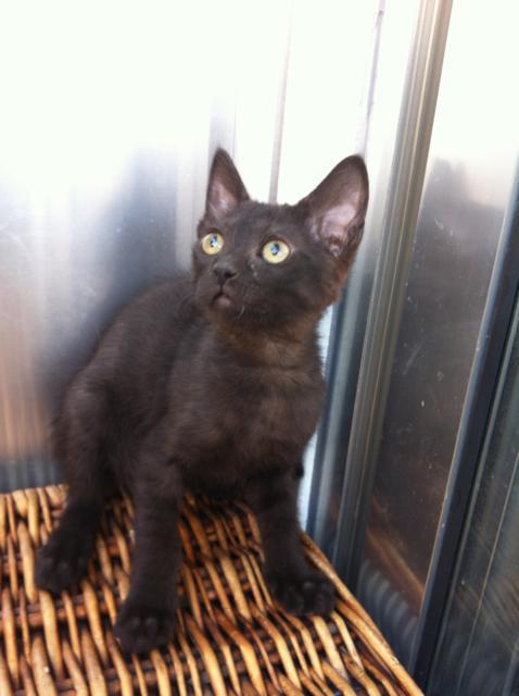 multimedia-foto35415-832-3