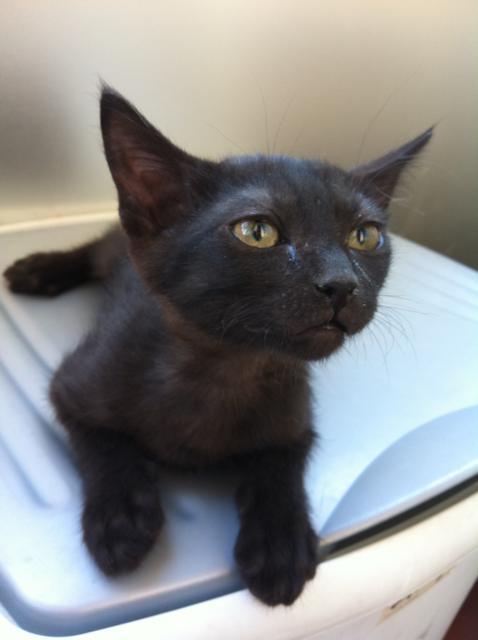 multimedia-foto35416-37-3