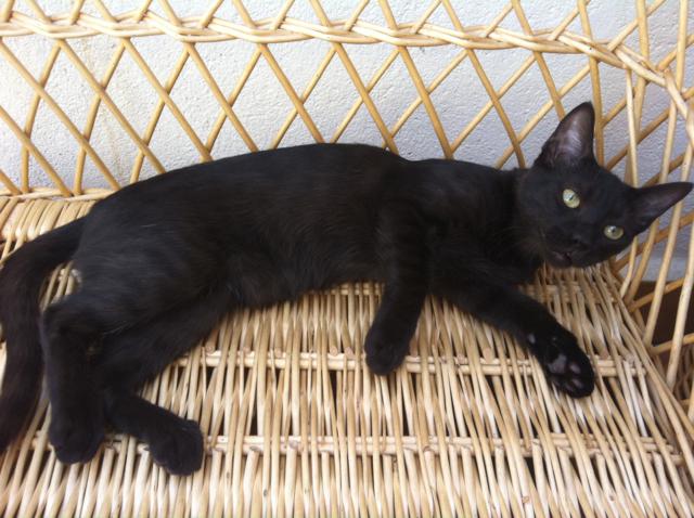 multimedia-foto35417-233-3