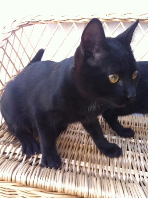 multimedia-foto35418-406-3