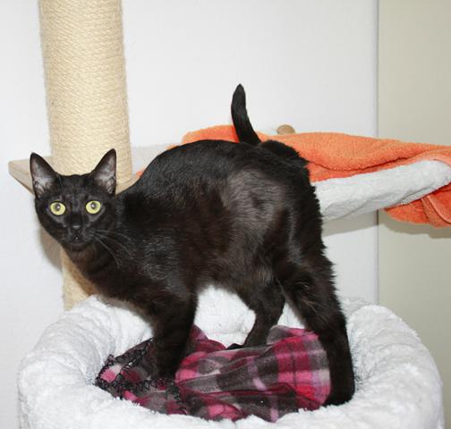 multimedia-foto35419-562-3