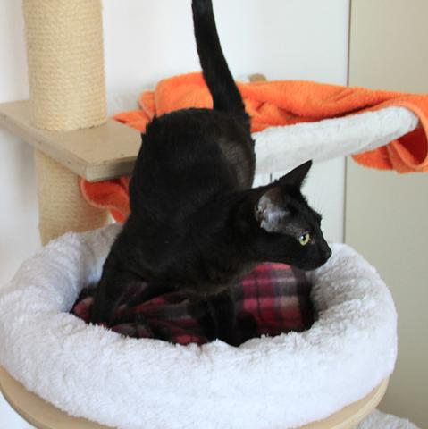 multimedia-foto35420-694-3