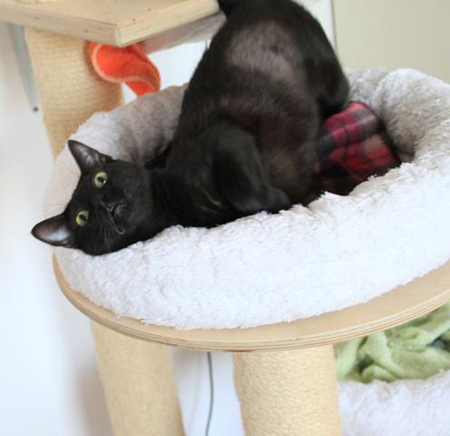 multimedia-foto35421-808-3