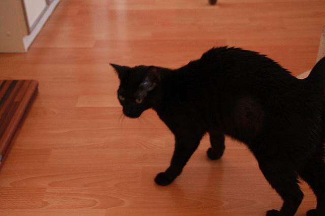 multimedia-foto35425-16-3