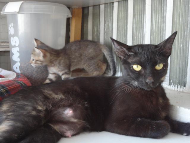 multimedia-foto35457-426-3