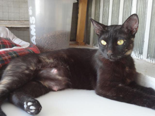 multimedia-foto35458-650-3