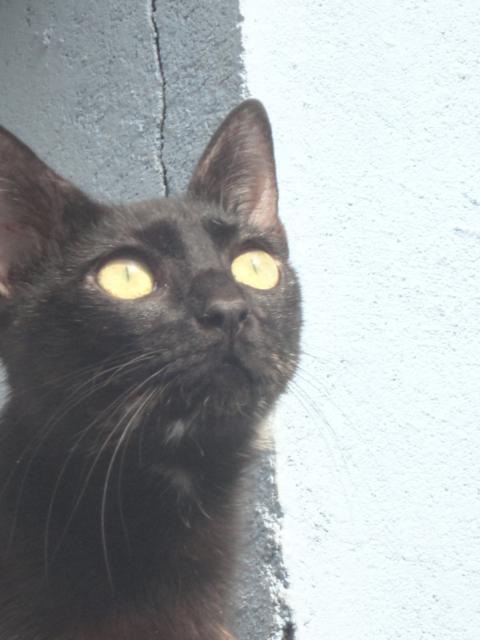 multimedia-foto35459-865-3