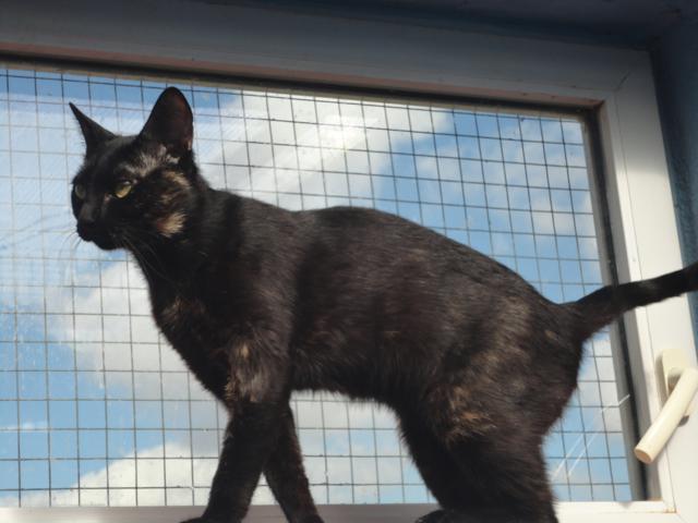 multimedia-foto35460-67-3