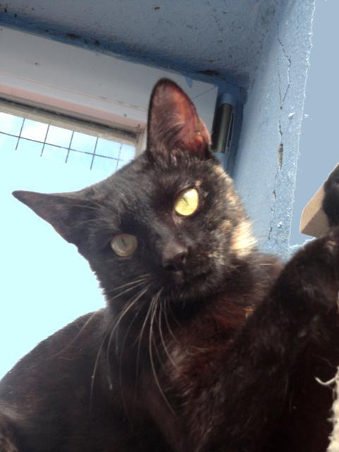 multimedia-foto35461-261-3