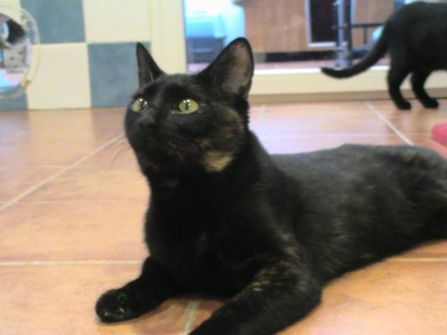 multimedia-foto35462-432-3