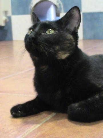 multimedia-foto35463-585-3