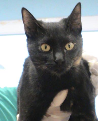 multimedia-foto35464-715-3