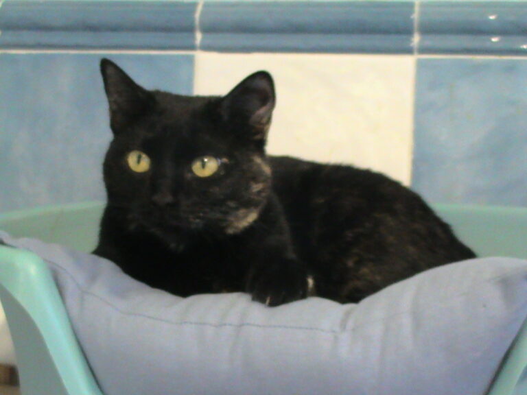 multimedia-foto35466-897-3