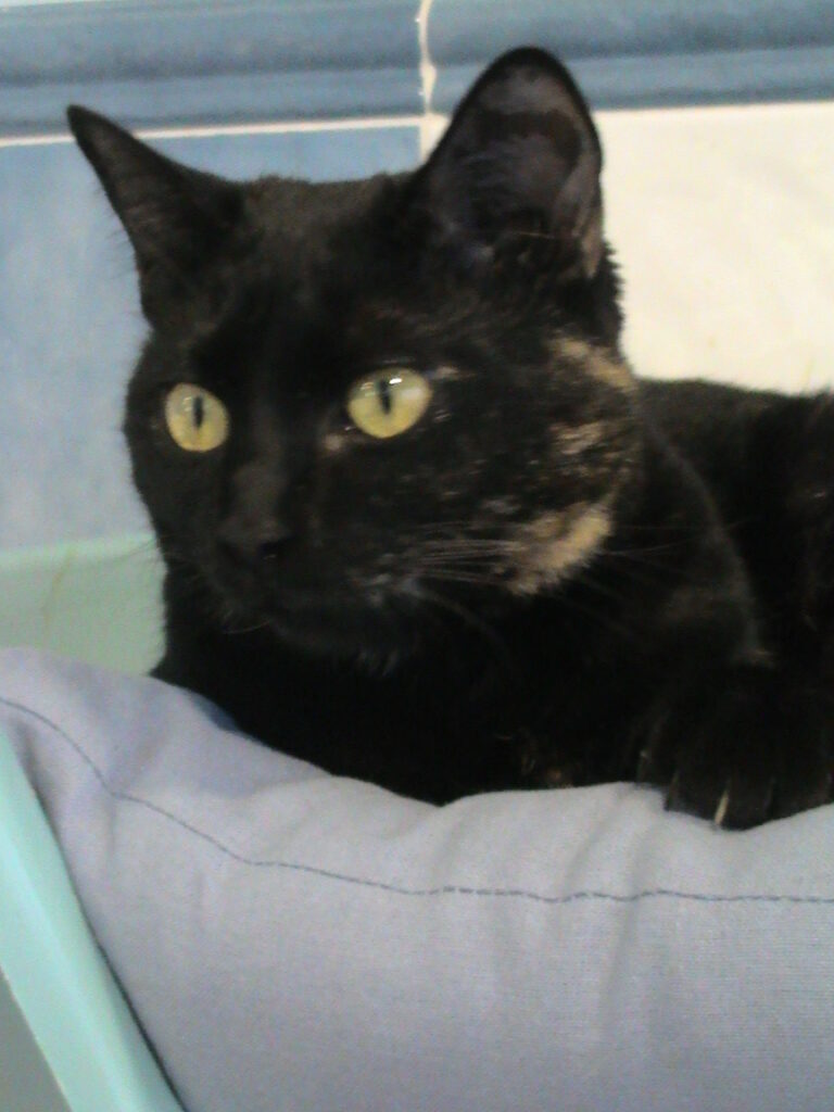 multimedia-foto35467-945-3