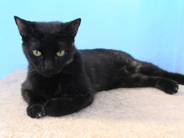 multimedia-foto35468-987-3