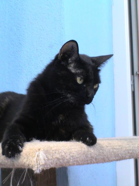 multimedia-foto35469-22-3