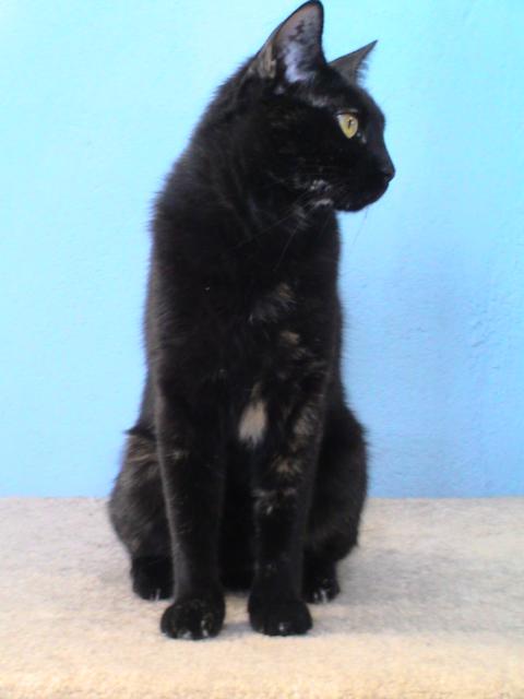 multimedia-foto35470-53-3