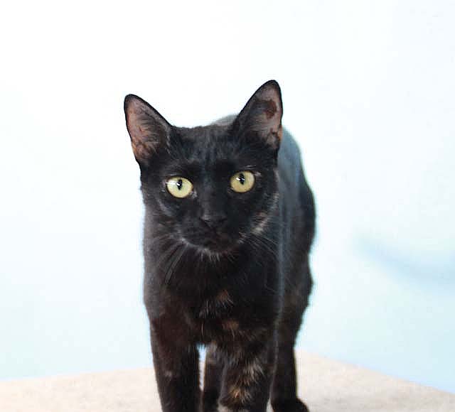 multimedia-foto35471-79-3