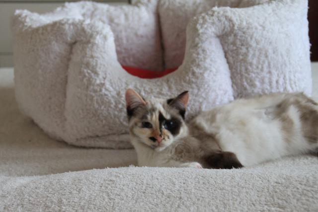 multimedia-foto35497-452-3