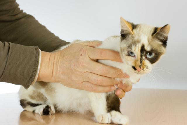 multimedia-foto35500-837-3