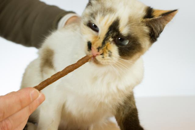 multimedia-foto35501-904-3