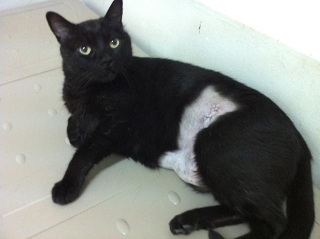 multimedia-foto35532-488-3