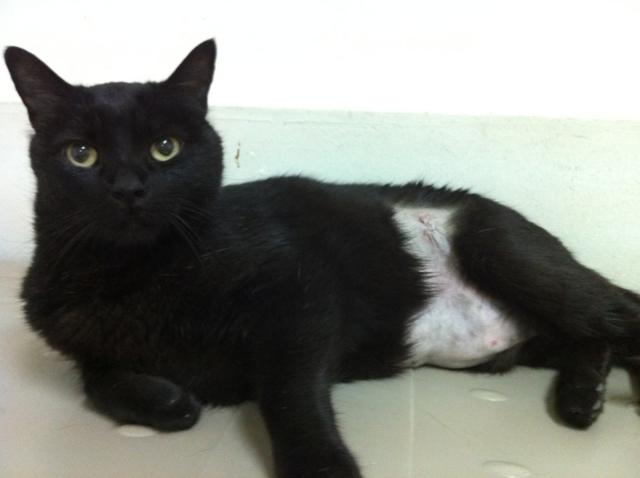 multimedia-foto35534-924-3