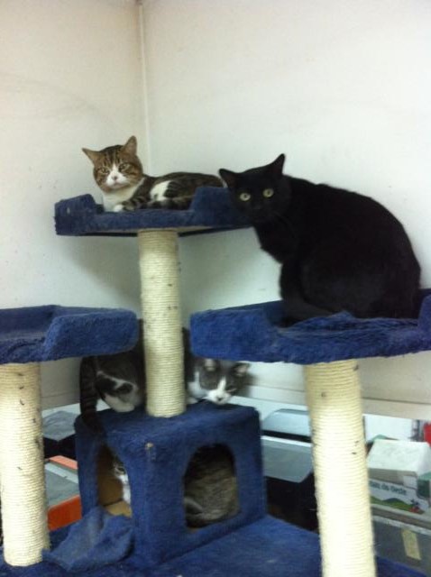 multimedia-foto35535-123-3