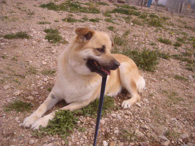 multimedia-foto35538-494-3