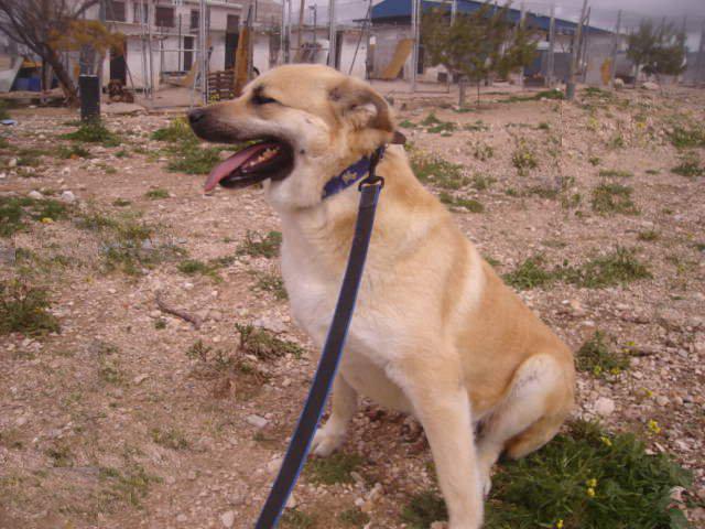 multimedia-foto35539-717-3