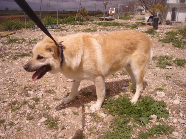 multimedia-foto35541-129-3