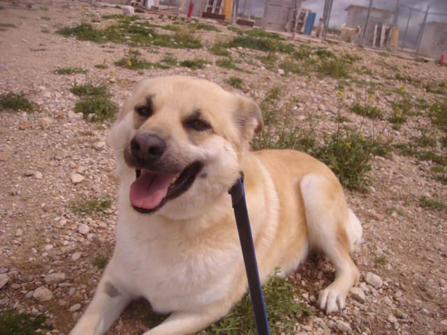 multimedia-foto35542-314-3