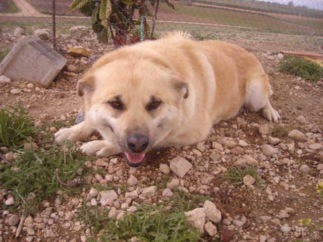 multimedia-foto35543-483-3