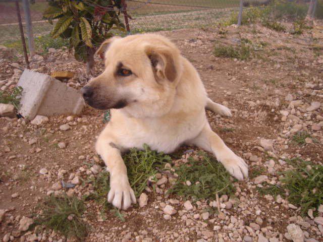 multimedia-foto35544-629-3