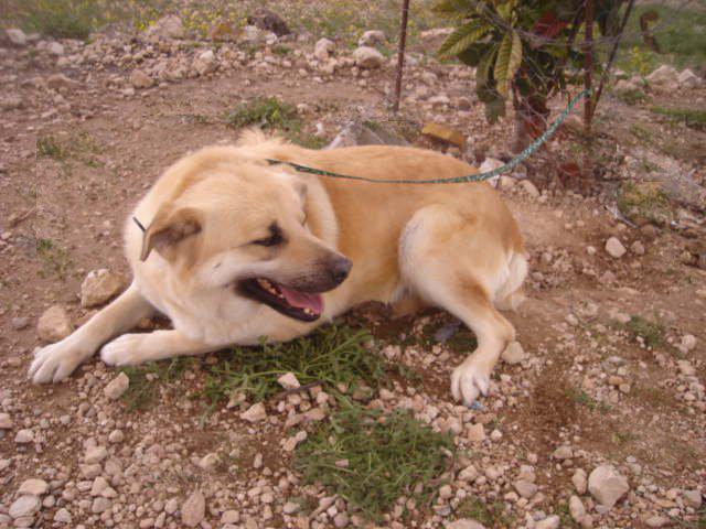 multimedia-foto35545-753-3