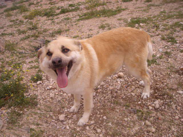 multimedia-foto35546-855-3