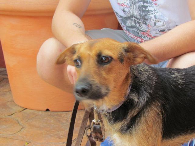 multimedia-foto35547-501-3