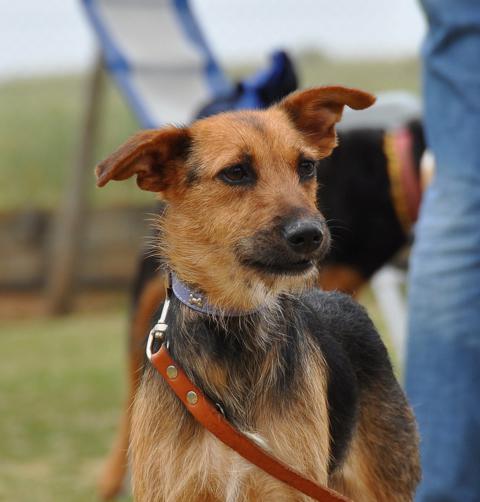 multimedia-foto35548-722-3