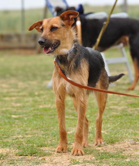 multimedia-foto35549-936-3