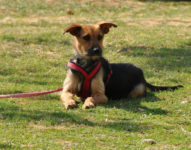 multimedia-foto35550-134-3