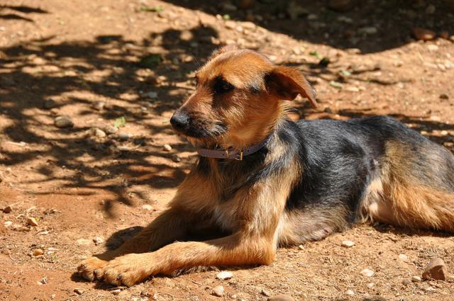 multimedia-foto35552-487-3