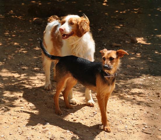 multimedia-foto35553-633-3