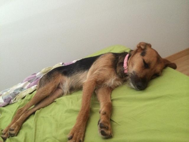 multimedia-foto35558-3-3