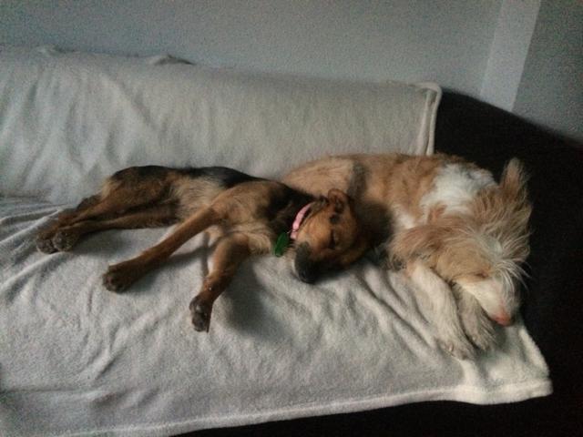 multimedia-foto35559-35-3