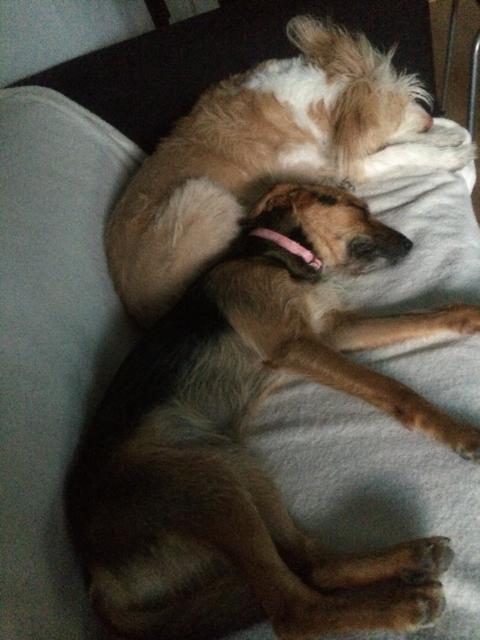 multimedia-foto35560-64-3