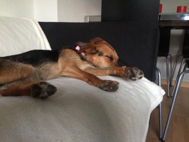 multimedia-foto35561-88-3