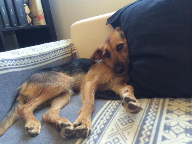 multimedia-foto35562-107-3