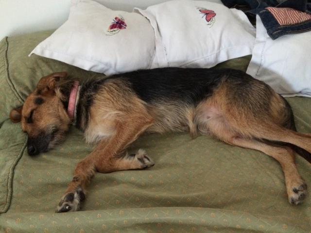 multimedia-foto35564-135-3