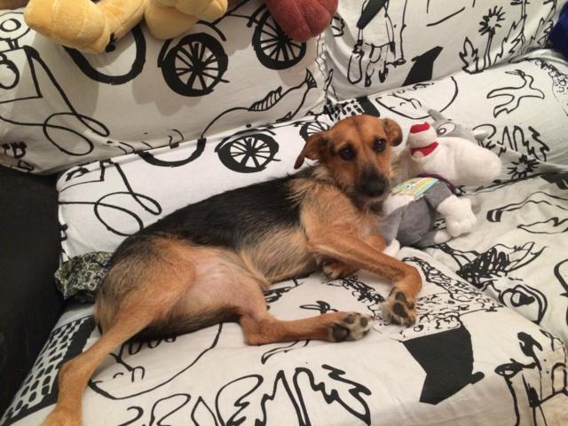 multimedia-foto35565-139-3