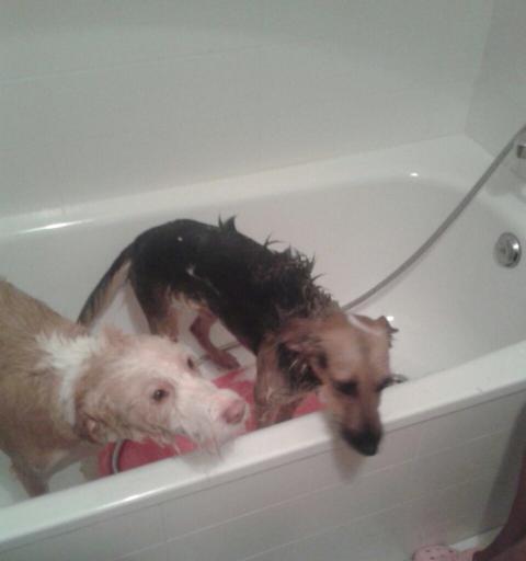 multimedia-foto35566-143-3